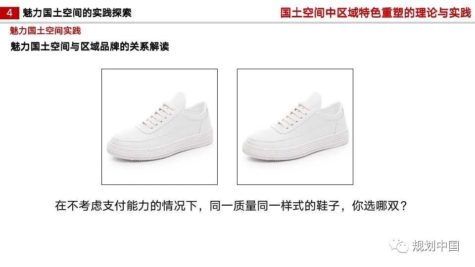 国土空间中区域特色重塑的理论与实践
