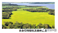 雄安新区周边区域国土空间规划的用途管制与生态保护修复方法探索