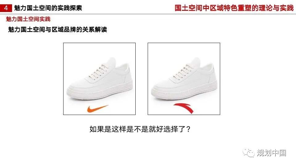 国土空间中区域特色重塑的理论与实践