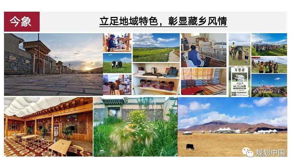国土空间中区域特色重塑的理论与实践