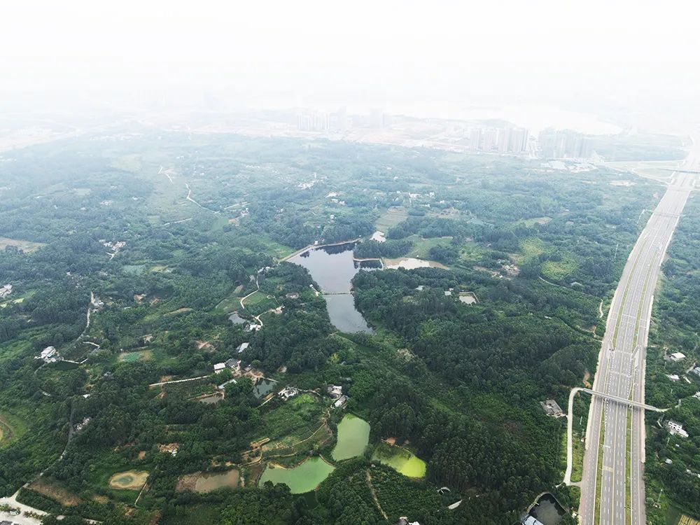 在成都公园城市的诗意未来,留下你的“诗句” 在成都公园城市的诗意未来,留下你的“诗句”