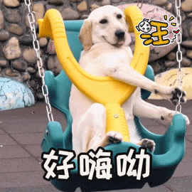 黄浦江暴走继续!限额30名 能跑能吃!城市亨特×建筑小姐姐 黄浦江暴走继续!限额30名 能跑能吃!城市亨特×建筑小姐姐