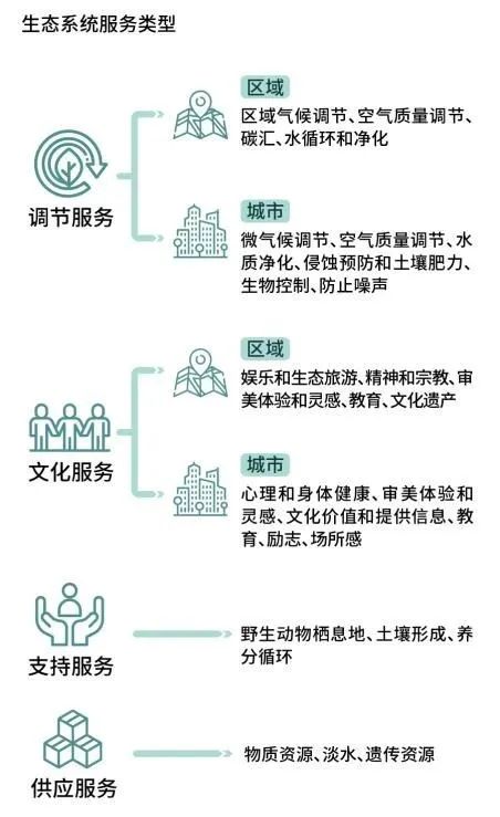 绿地修复：谁会爱上没有绿色的城市？