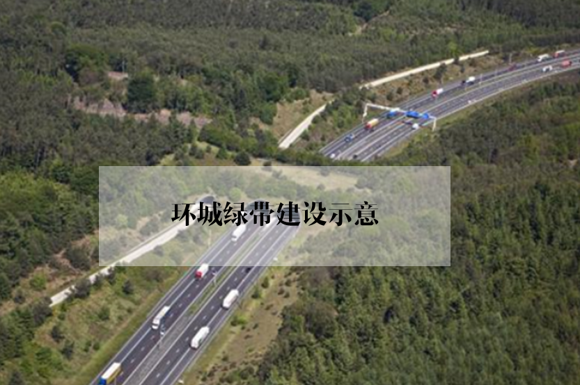 绿地修复：谁会爱上没有绿色的城市？