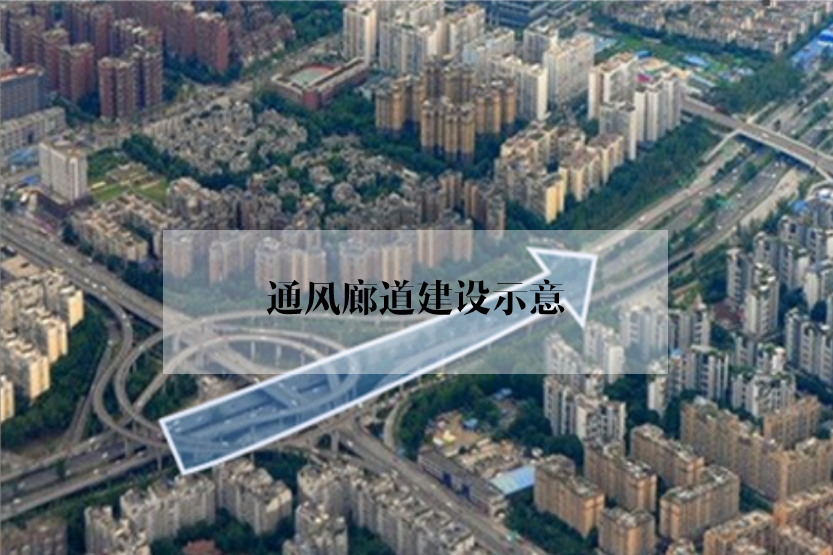 绿地修复：谁会爱上没有绿色的城市？