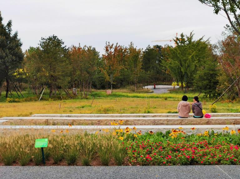 清华同衡助力建设北京城市副中心“城市绿心森林公园” 清华同衡助力建设北京城市副中心“城市绿心森林公园”