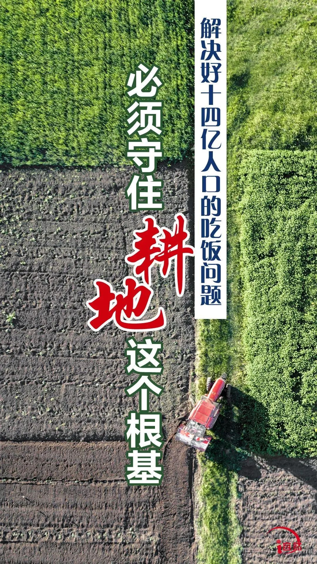 世界粮食日 | 粮安天下 耕保为先