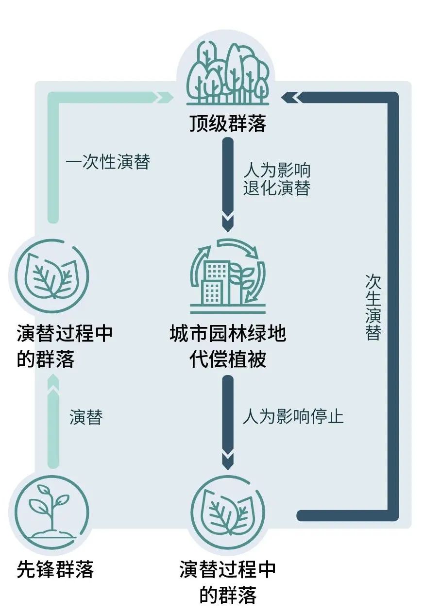绿地修复：谁会爱上没有绿色的城市？
