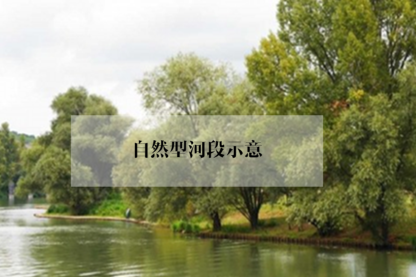 绿地修复：谁会爱上没有绿色的城市？