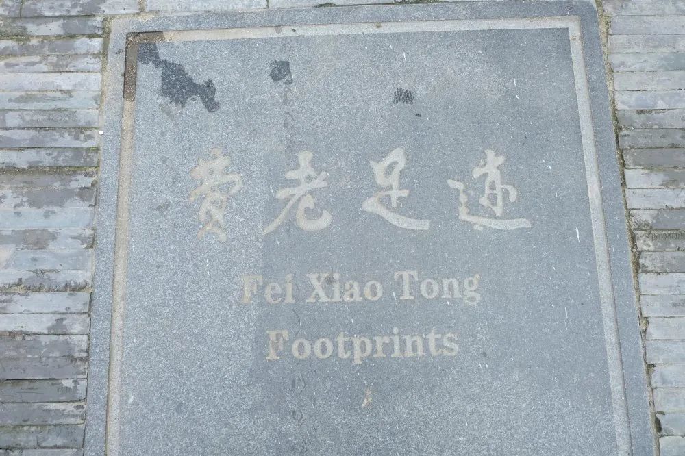 第十一届长三角地区城乡规划研讨会 | 营员风采实录