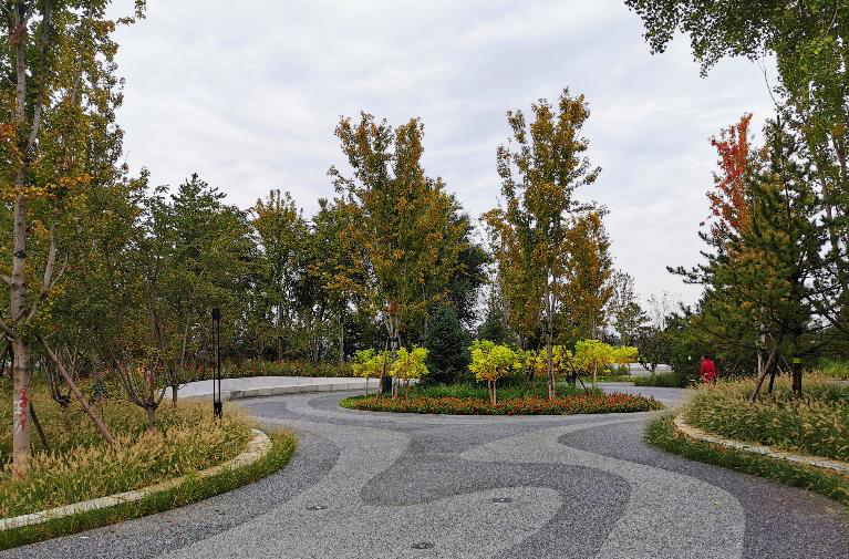 清华同衡助力建设北京城市副中心“城市绿心森林公园” 清华同衡助力建设北京城市副中心“城市绿心森林公园”