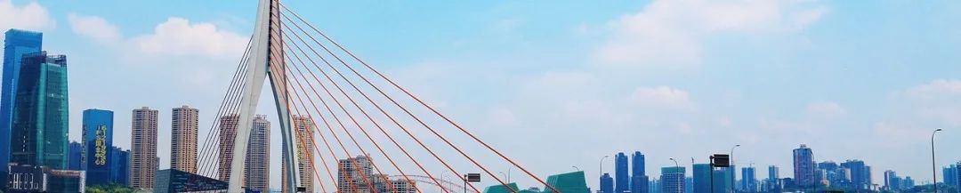 审议《成渝地区双城经济圈建设规划纲要》，中央政治局召开会议