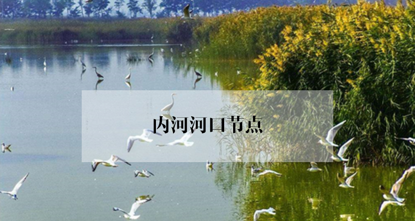 绿地修复：谁会爱上没有绿色的城市？