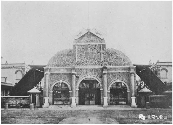 北京动物园启用新大门,砖雕百年大门“休假” 北京动物园启用新大门,砖雕百年大门“休假”