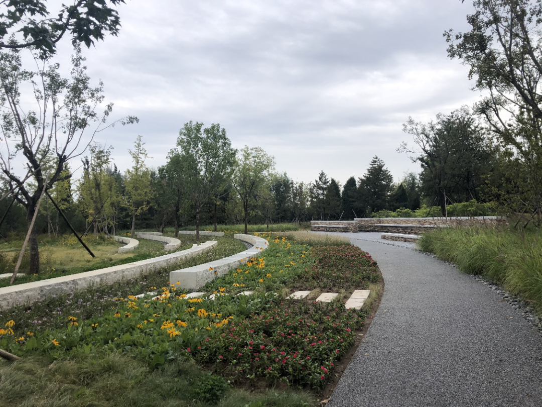 清华同衡助力建设北京城市副中心“城市绿心森林公园” 清华同衡助力建设北京城市副中心“城市绿心森林公园”