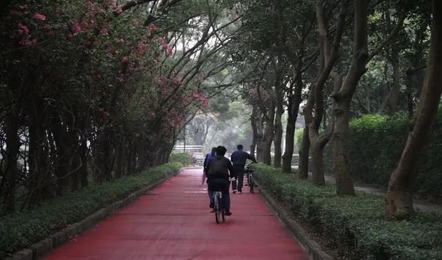 深圳家园的营造之“道”：从绿道网到“山海连城”