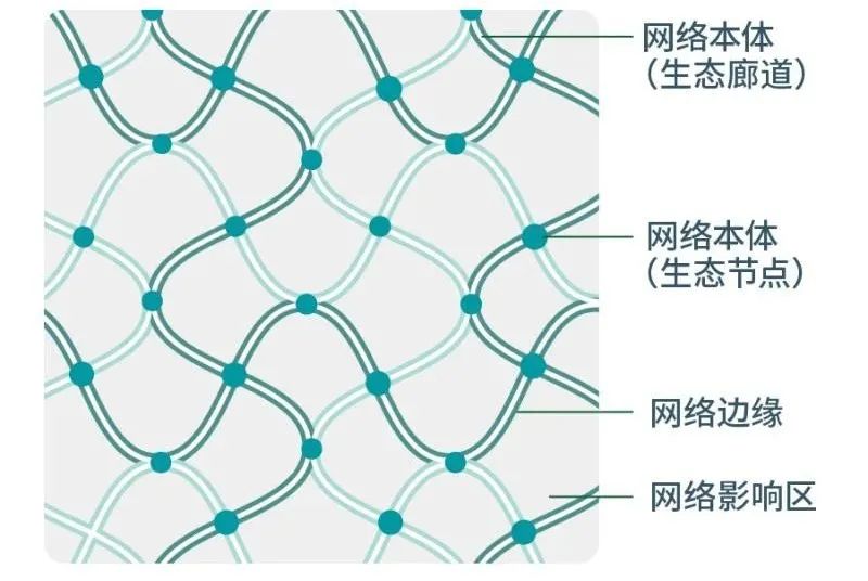 绿地修复：谁会爱上没有绿色的城市？
