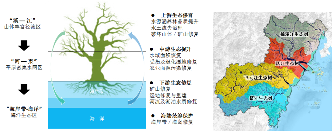 国土空间生态保护修复与利用探讨——以温州市“生态树”为例 国土空间生态保护修复与利用探讨——以温州市“生态树”为例