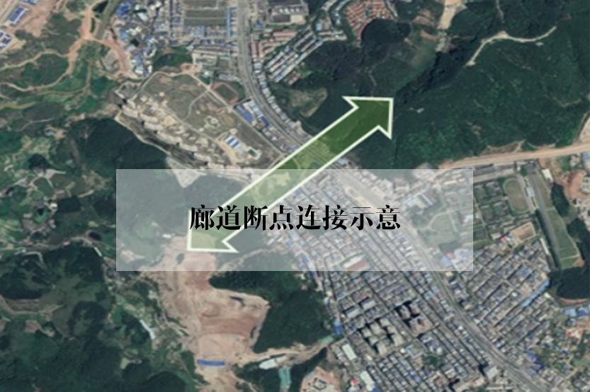 绿地修复：谁会爱上没有绿色的城市？