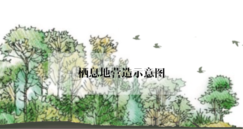 绿地修复：谁会爱上没有绿色的城市？