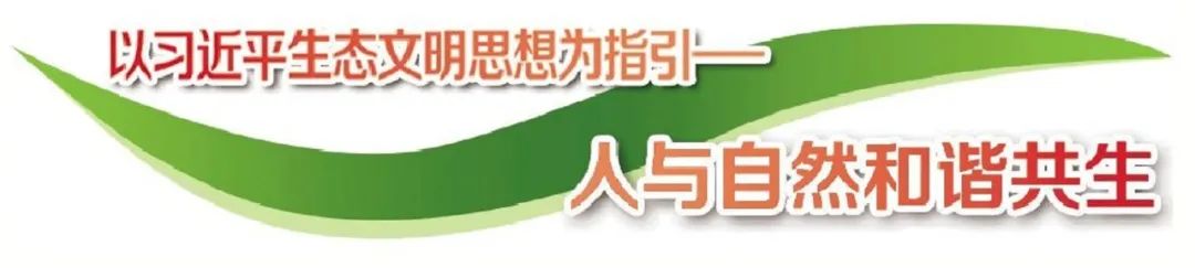 “鲜”头条|治理小流域 呵护母亲河 “鲜”头条|治理小流域 呵护母亲河