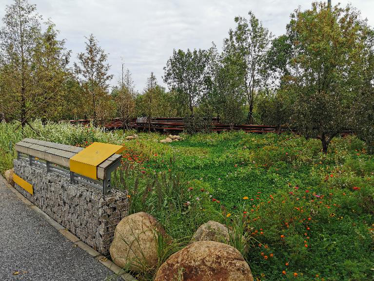 清华同衡助力建设北京城市副中心“城市绿心森林公园” 清华同衡助力建设北京城市副中心“城市绿心森林公园”
