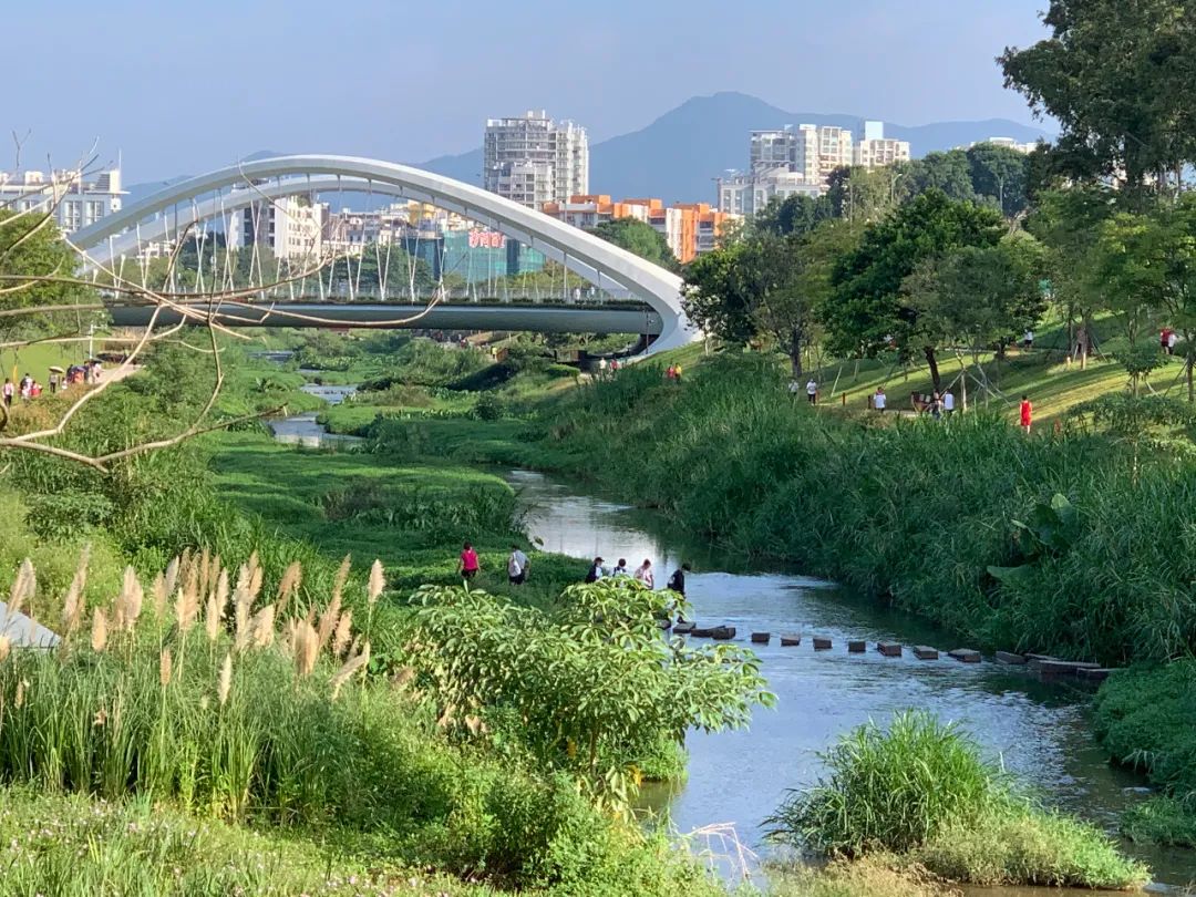绿地修复：谁会爱上没有绿色的城市？