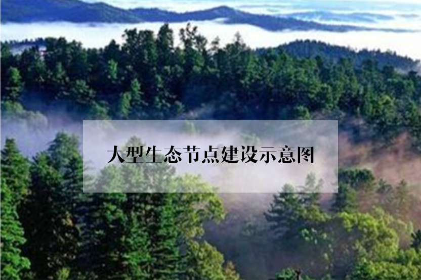 绿地修复：谁会爱上没有绿色的城市？