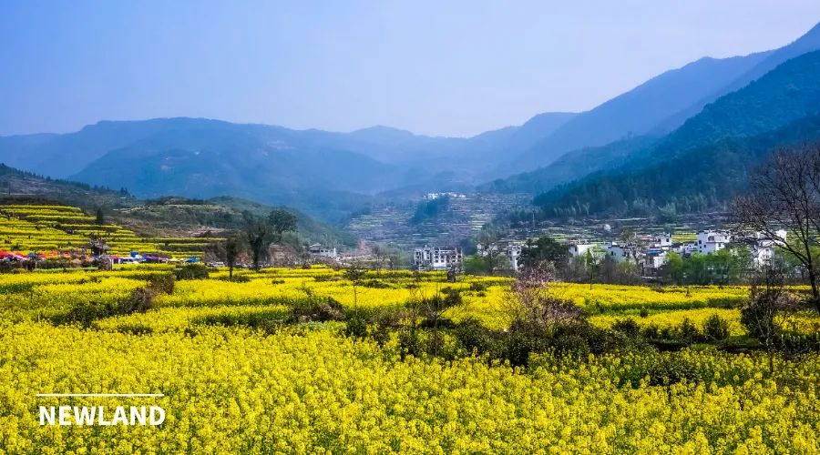 王立胜：“县”里是非多, 但乡村振兴必须以县为“纲”