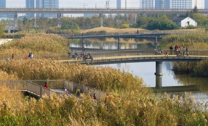 绿地修复：谁会爱上没有绿色的城市？