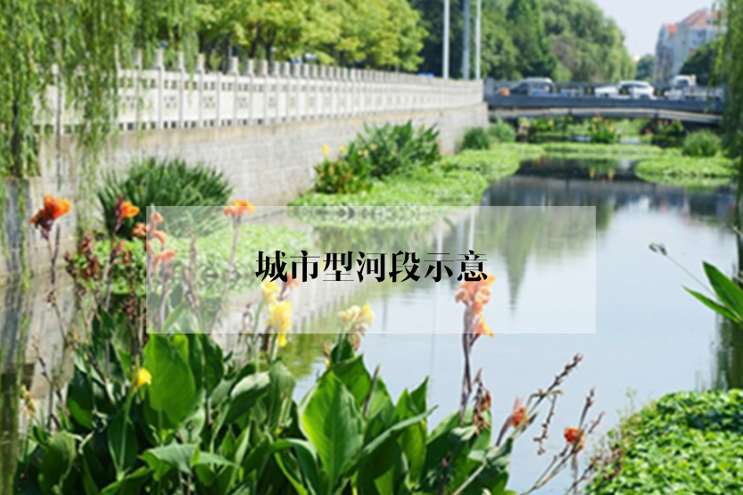 绿地修复：谁会爱上没有绿色的城市？