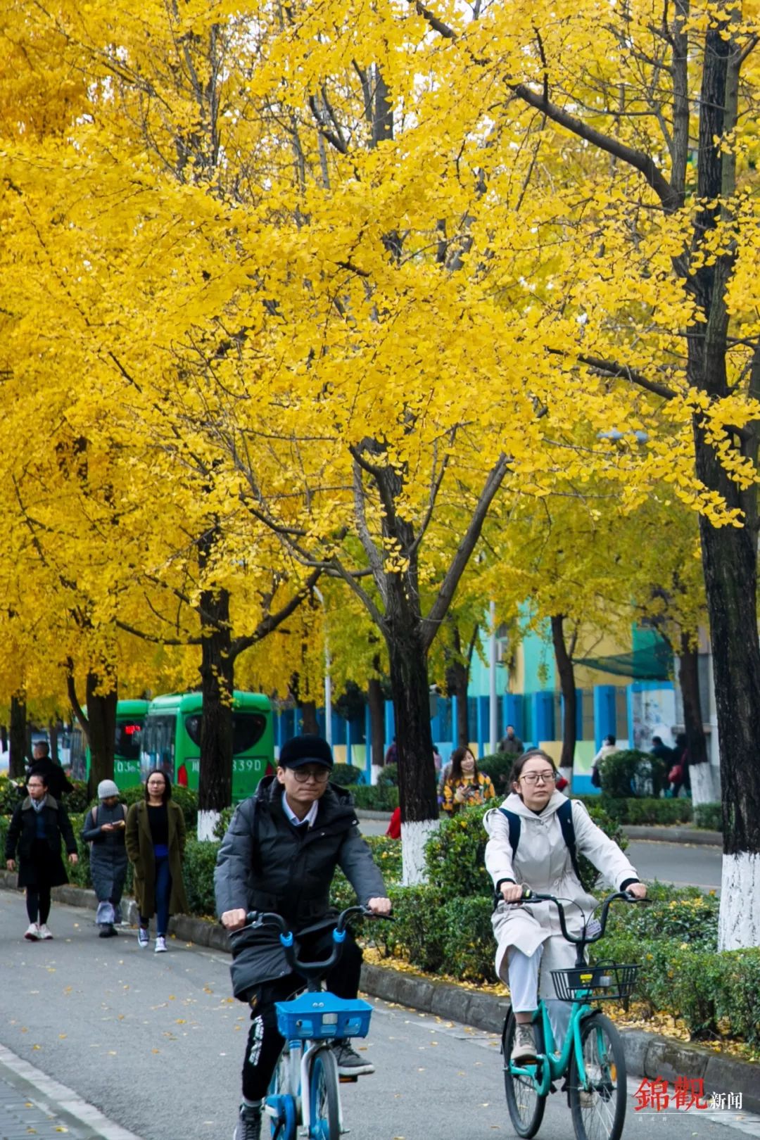 公园城市 未来之城 公园城市 未来之城