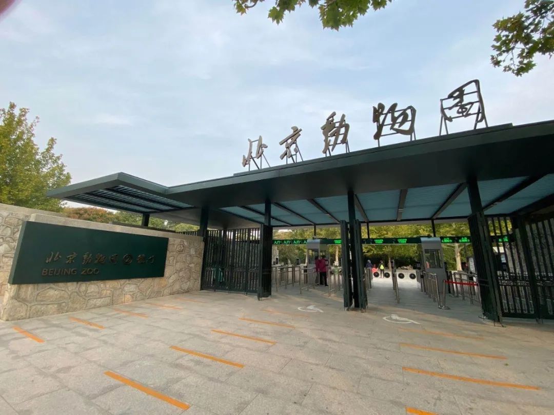 北京动物园启用新大门,砖雕百年大门“休假” 北京动物园启用新大门,砖雕百年大门“休假”