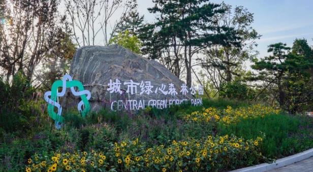 清华同衡助力建设北京城市副中心“城市绿心森林公园” 清华同衡助力建设北京城市副中心“城市绿心森林公园”