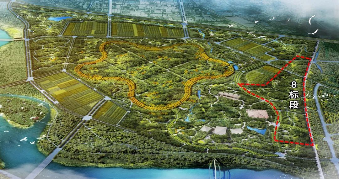 清华同衡助力建设北京城市副中心“城市绿心森林公园” 清华同衡助力建设北京城市副中心“城市绿心森林公园”