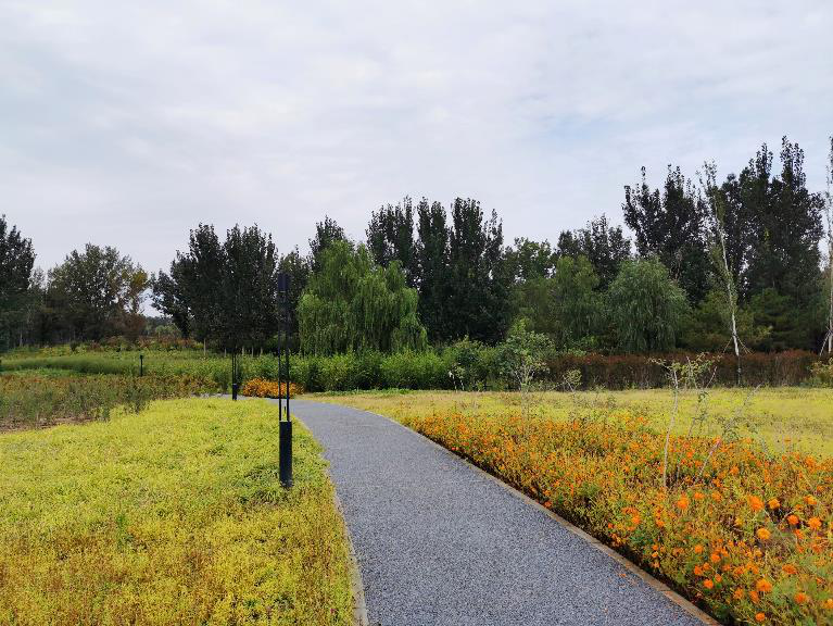 清华同衡助力建设北京城市副中心“城市绿心森林公园” 清华同衡助力建设北京城市副中心“城市绿心森林公园”