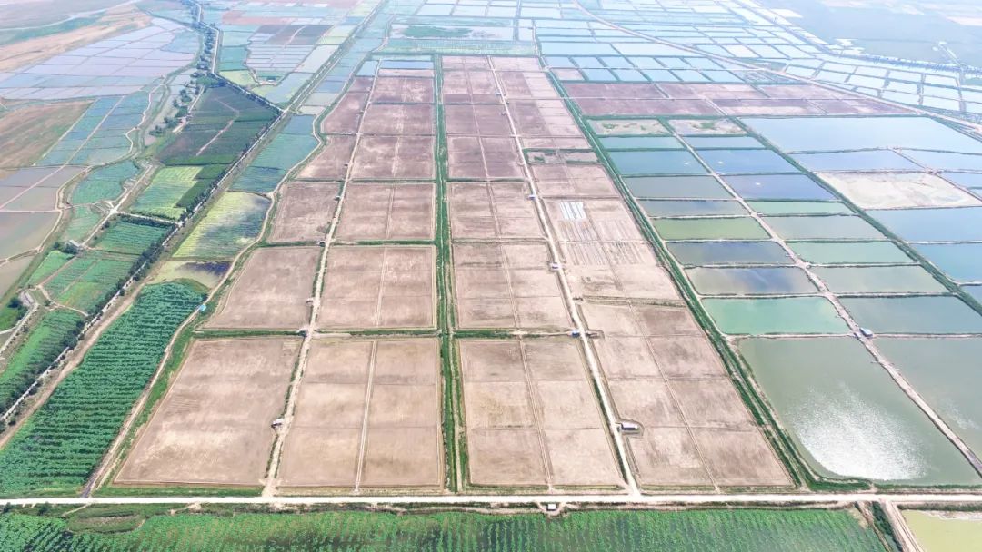 我读《习近平谈治国理政》第三卷 | 开拓发展和保护协同共生新路径