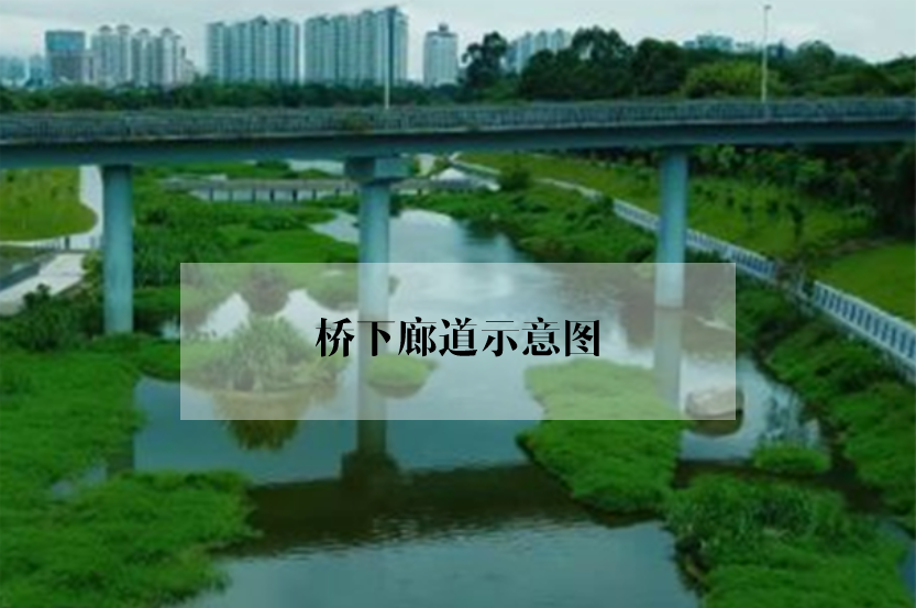 绿地修复：谁会爱上没有绿色的城市？