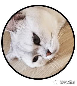 空间规划图纸的符号制作，这可能是你看过最简单实用的一篇丨城市数据派