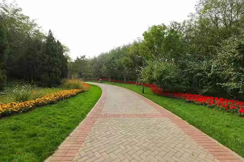 习近平总书记牵挂的北京：胡同焕新生 运河展新景