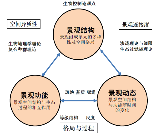 王明田:引领乡镇国土空间规划的九个新方向 | 学术季 王明田:引领乡镇国土空间规划的九个新方向 | 学术季
