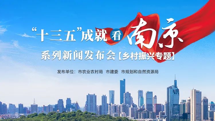 “十三五”成就看南京新闻发布会 我局通报乡村振兴规划资源要素保障成果