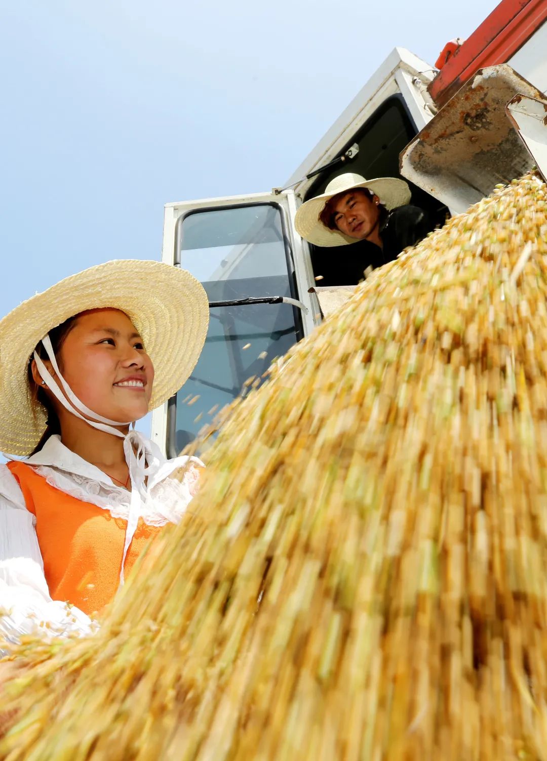 粮食安全目标下,耕地的隐忧与求治 粮食安全目标下,耕地的隐忧与求治