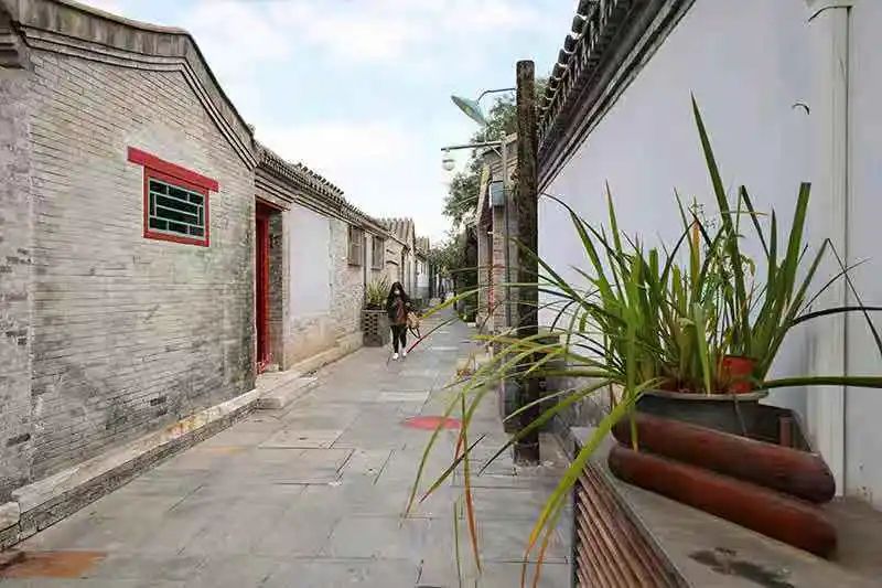 习近平总书记牵挂的北京：胡同焕新生 运河展新景