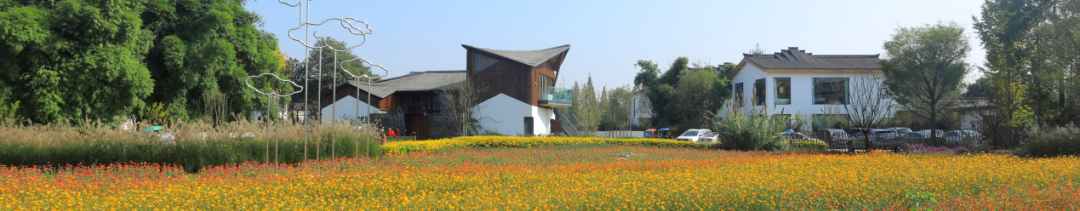 城市与高校如何共荣共兴?多位专家汇聚探讨 城市与高校如何共荣共兴?多位专家汇聚探讨