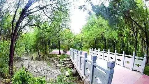 城市体检评估成果交流：徐州篇——老工业城市绿色宜居转型评估