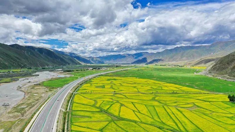 资讯︱习近平对推进农村土地制度改革、做好农村承包地管理工作作出重要指示