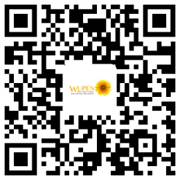 2020-2021年度WUPEN城市智能诊断国际拉力赛开启 2020-2021年度WUPEN城市智能诊断国际拉力赛开启