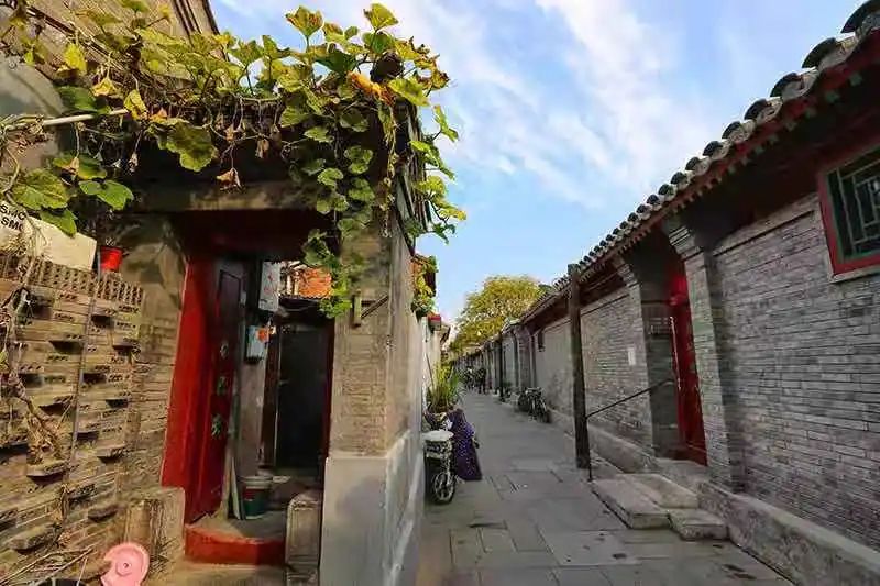 习近平总书记牵挂的北京：胡同焕新生 运河展新景