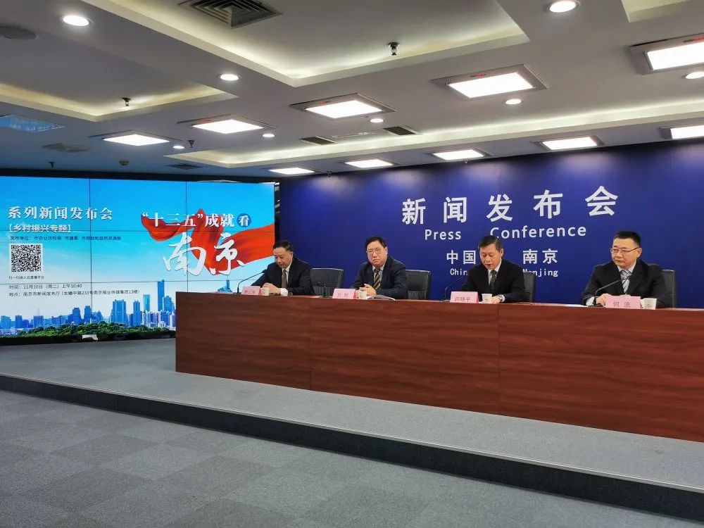 “十三五”成就看南京新闻发布会 我局通报乡村振兴规划资源要素保障成果